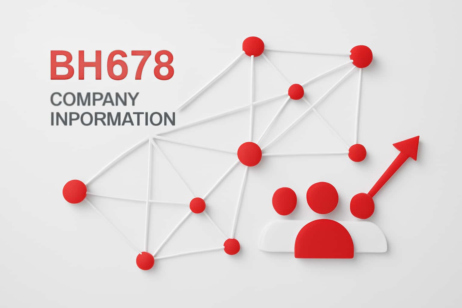 BH678 Company Information Interface